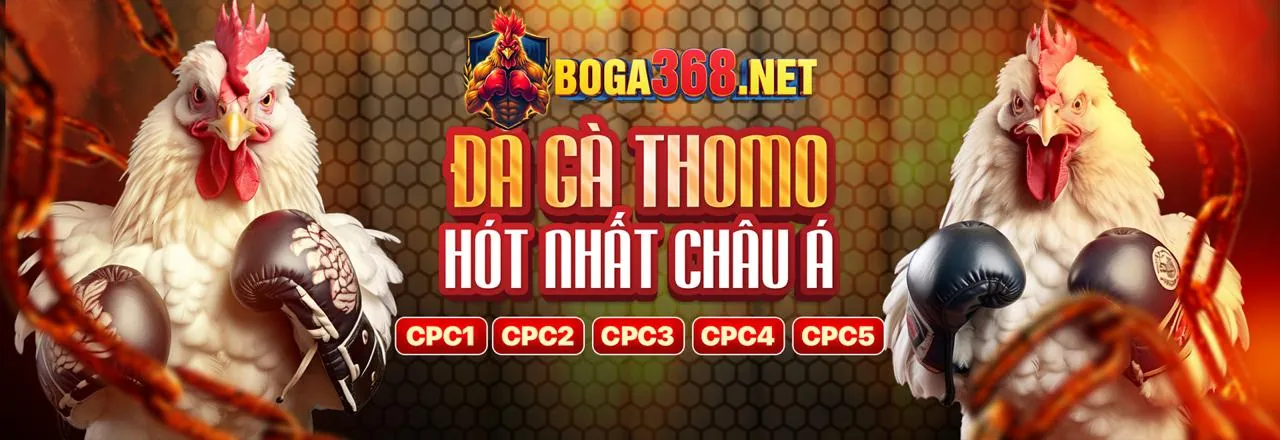 Đá Gà Trực Tuyến Hấp Dẫn tại 789ber Chính Thức